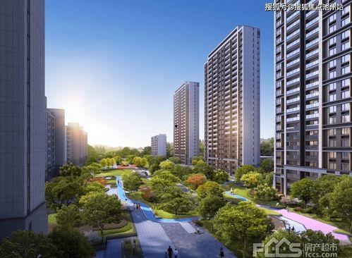 枫桥雅居爆料最新消息新闻,揭秘雅居社区神秘事件！