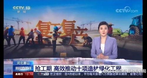 唐山热门爆料新闻报道视频,最新视频揭露惊人真相