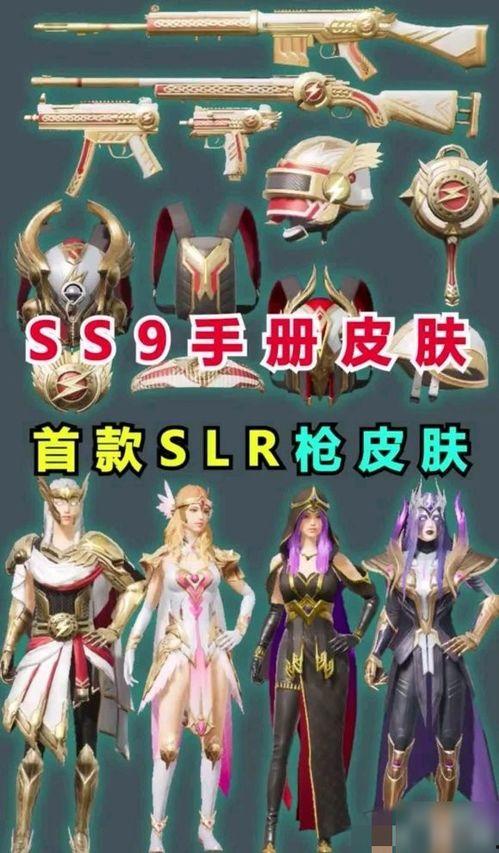 ss9赛季小熊最新爆料,揭秘神秘战术与球员动态！”