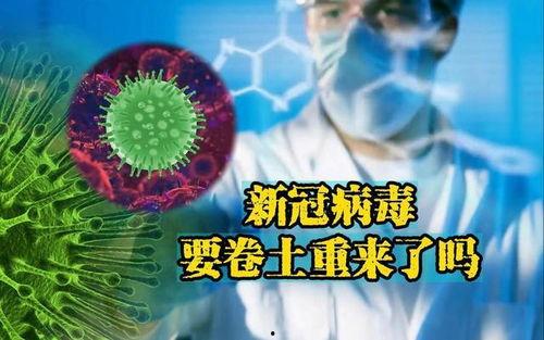 最新爆料新冠病毒,揭秘神秘变异株的传播与防控挑战  第3张