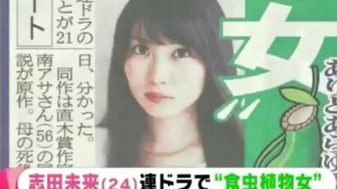 猪笼草之梦在线观看,探索神秘植物世界的奇幻之旅 第2张 猪笼草之梦在线观看,探索神秘植物世界的奇幻之旅 第2张