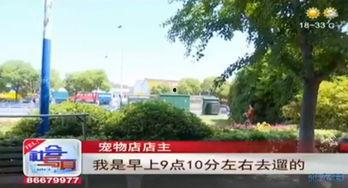 石家庄花园爆料案件最新,揭秘背后惊人真相