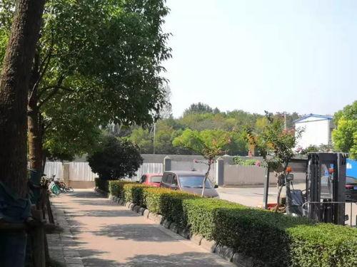 石家庄花园爆料案件最新,揭秘背后惊人真相  第2张