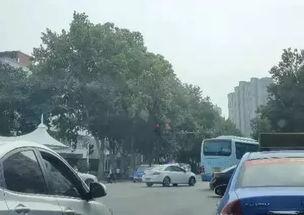 河南都市爆料视频禹州,河南都市爆料视频揭示的古城新颜与变迁  第1张